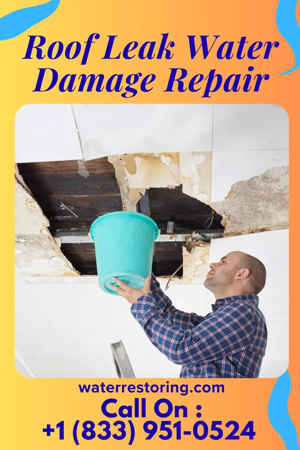 Roof Leak Water Damage Repair in Janesville, MN