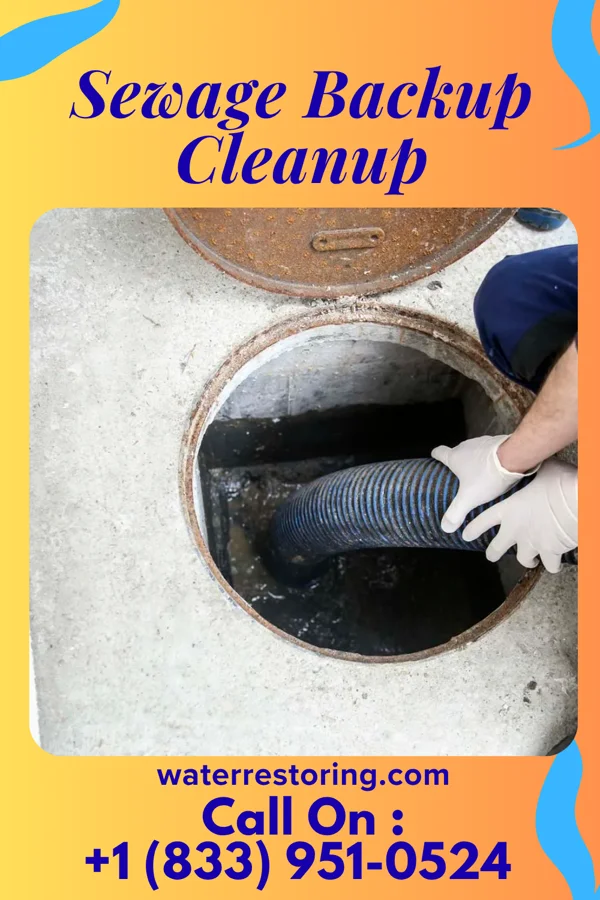Sewage Backup Cleanup in Janesville, MN