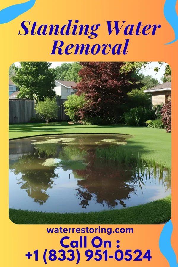 Standing Water Removal in Janesville, MN